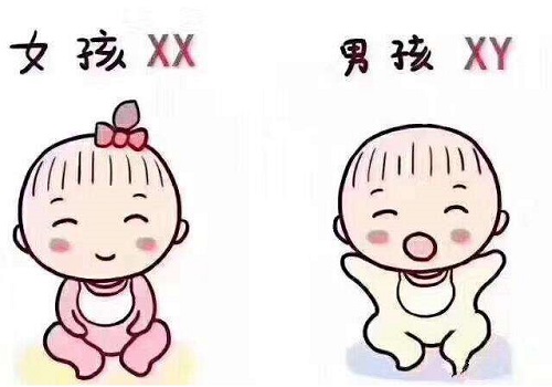 2022年单身女可以去医院做试管婴儿吗？