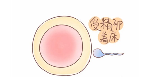 高龄女性做试管婴儿成功率为何低？