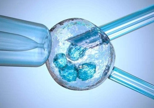 试管婴儿90%不是自己的？这到底是怎么回事呢？