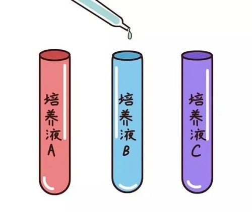 黄体功能不全赴泰试管婴儿应该注意什么？