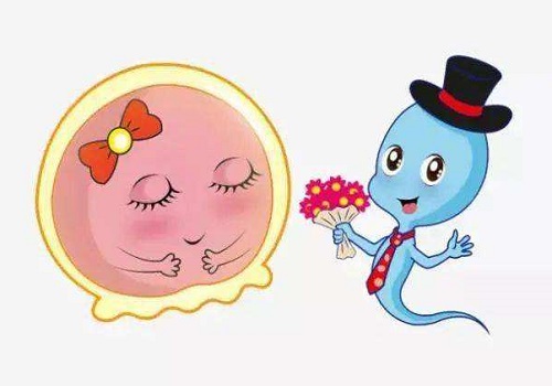 泰国试管婴儿中介公司