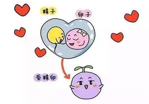 2022医院三代试管要多少钱
