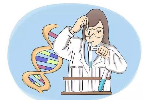 试管婴儿冷冻胚胎和新鲜胚胎移植的成功率哪个高？