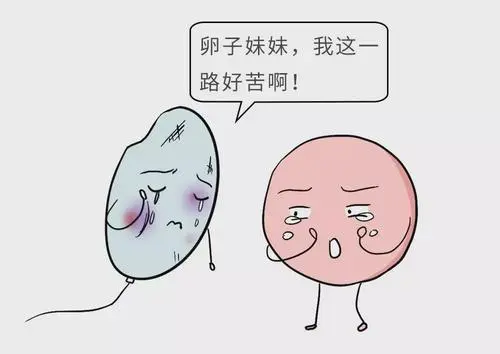高龄生育一定要做三代试管婴儿吗？