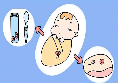 试管婴儿期间怎么饮食比较好呢