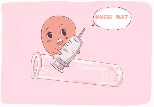 赴泰国做试管想一次成功需做好哪些？