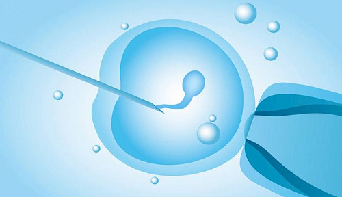 试管婴儿解读如何预防卵巢衰退？