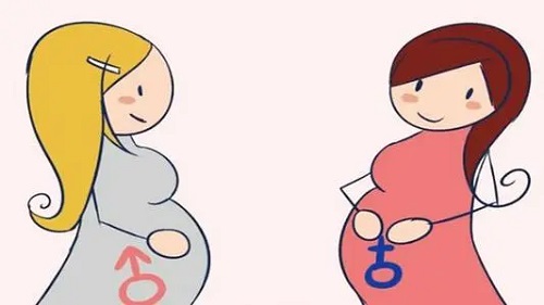 赋予孩子未来健康生命 美国试管婴儿从科学备孕开始