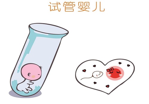 FSH高，美国试管婴儿专家如何科学促排？
