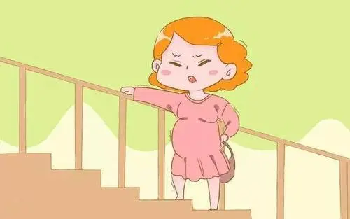 去美国做试管是胚胎等级越高，胎儿越健康吗？
