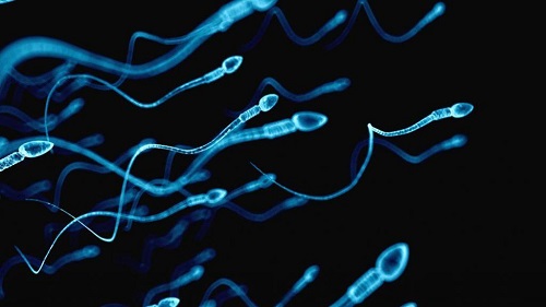 泰国第三代试管婴儿成功率有多少？高不高？