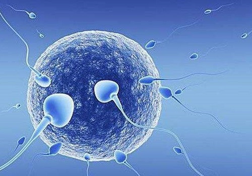 输卵管不通可以选择做泰国试管婴儿吗？
