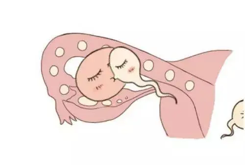 试管婴儿的具体流程怎样的？